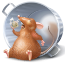 Ratatouille