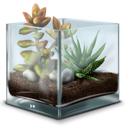 Terrariums